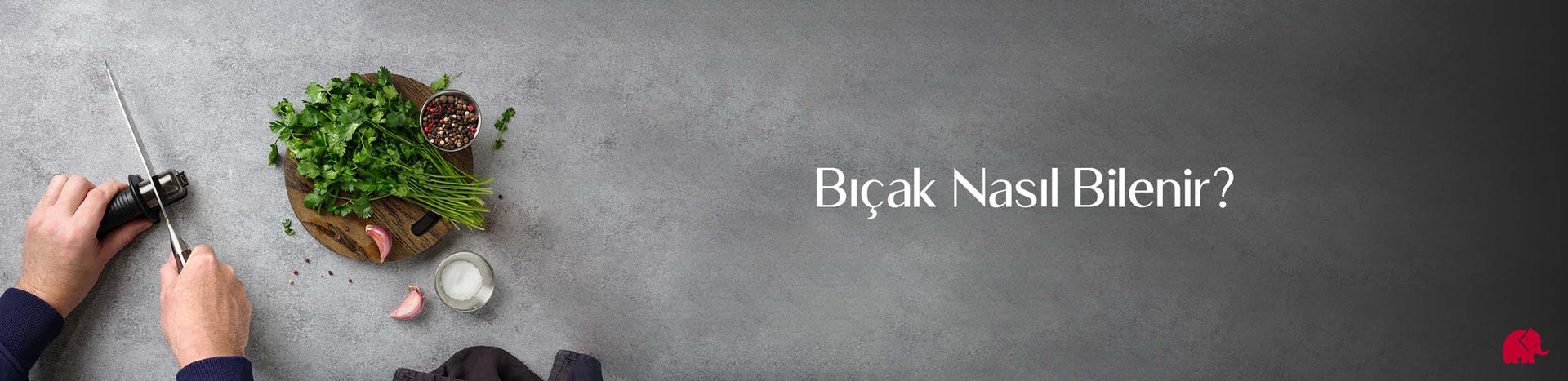 Bıçak Nasıl Bilenir?