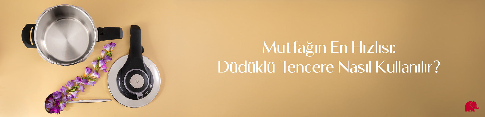 Mutfağın En Hızlısı: Düdüklü Tencere Nasıl Kullanılır?