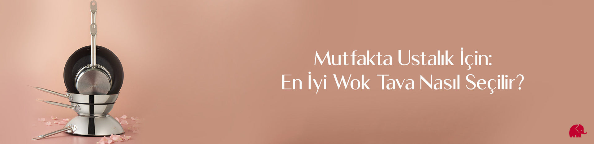Mutfakta Ustalık İçin: En İyi Wok Tava Nasıl Seçilir?